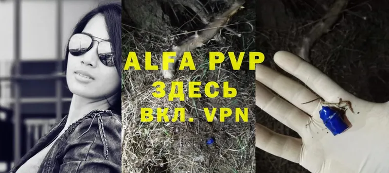 дарк нет официальный сайт  Нюрба  Alpha PVP мука 