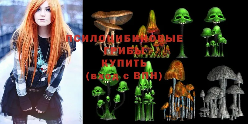 Псилоцибиновые грибы Psilocybe Нюрба